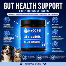 Gut & Immunity+