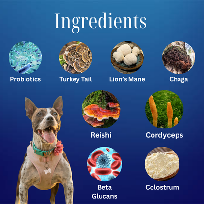 Allergies et immunité 