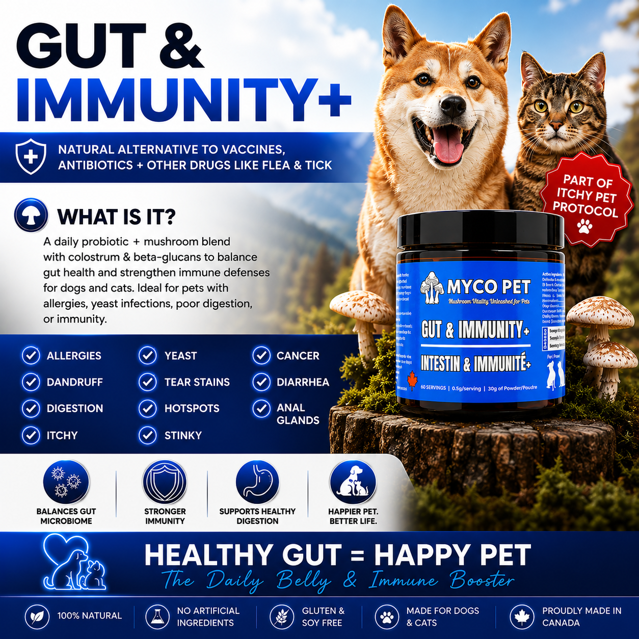 Allergies et immunité 