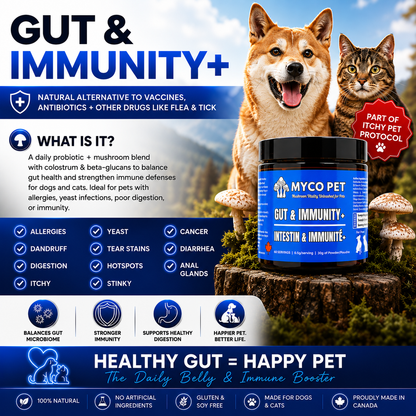 Allergies et immunité 