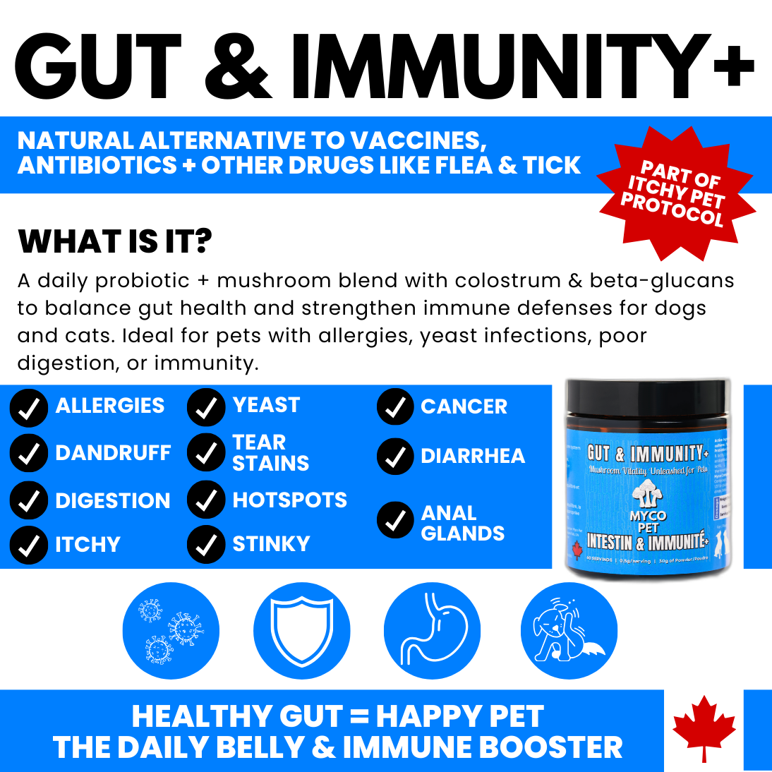 Allergies et immunité 