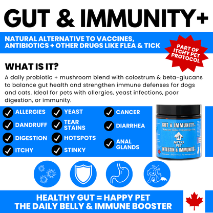 Allergies et immunité 