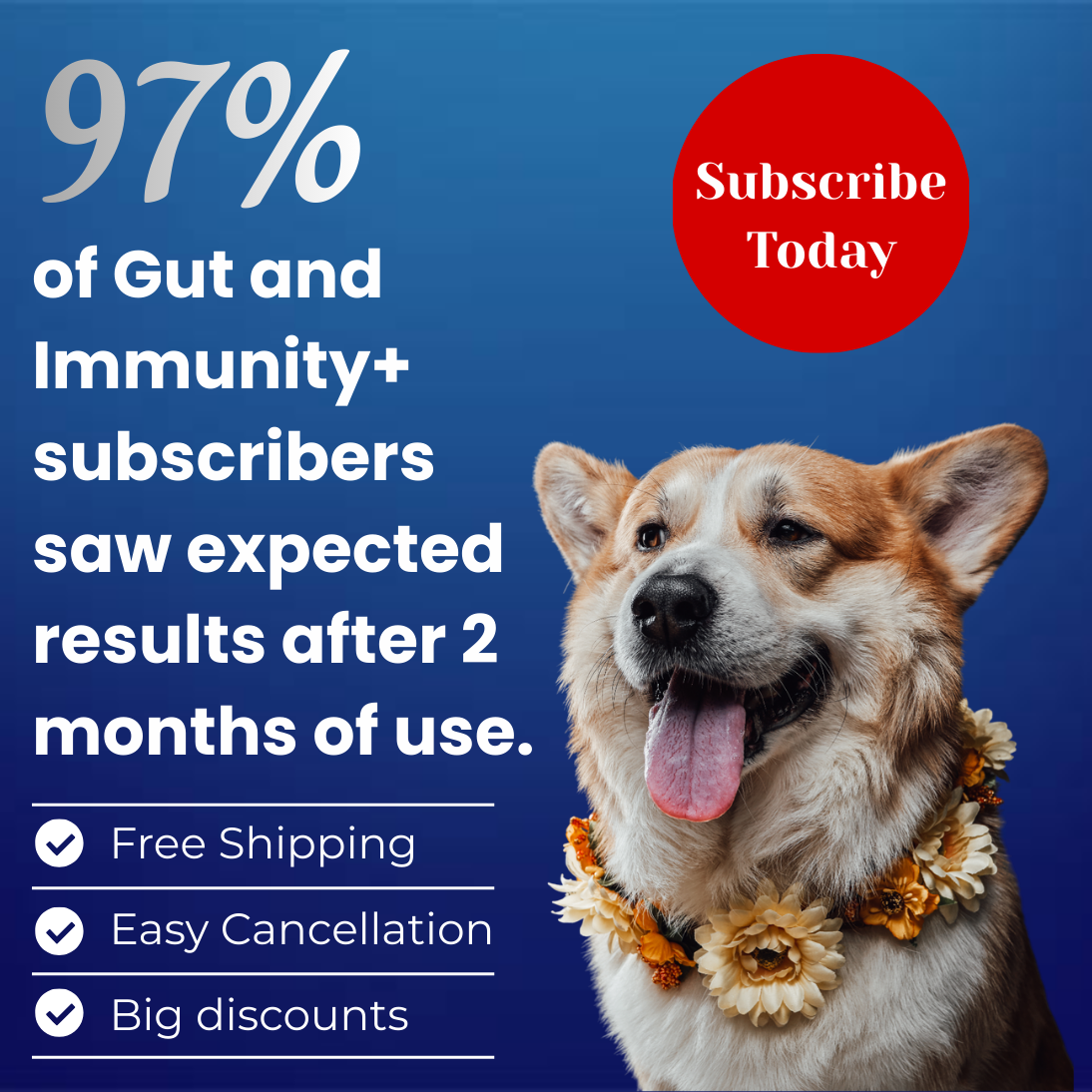 Allergies et immunité 