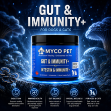 Gut & Immunity+