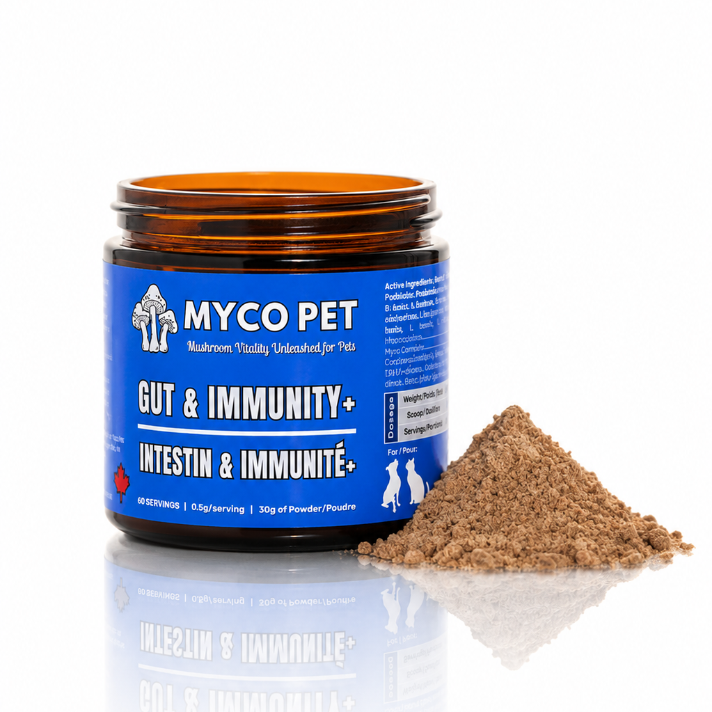 Allergies et immunité 