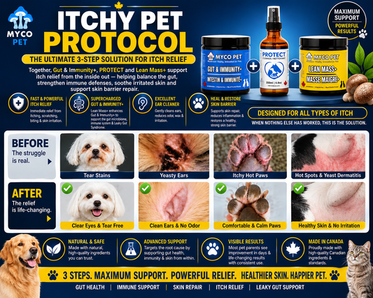 Itchy Pet Protocol for Dogs & Cats — Advanced Gut, Skin, Paw & Hot Spot Support Bundle