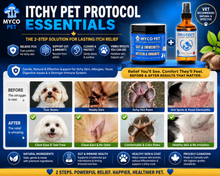 Itchy Pet Protocol Essentials