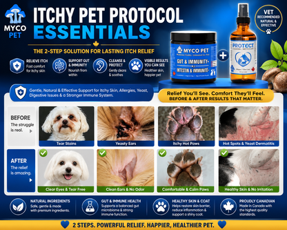 Itchy Pet Protocol Essentials