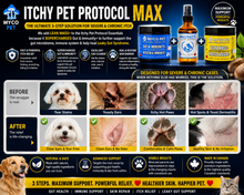 Itchy Pet Protocol MAX