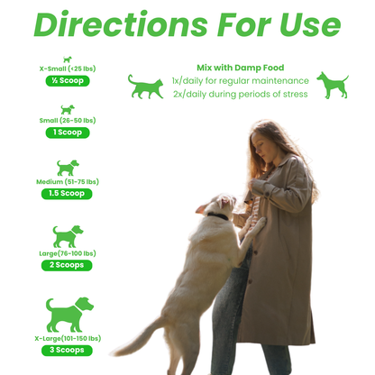 Articulations et récupération 