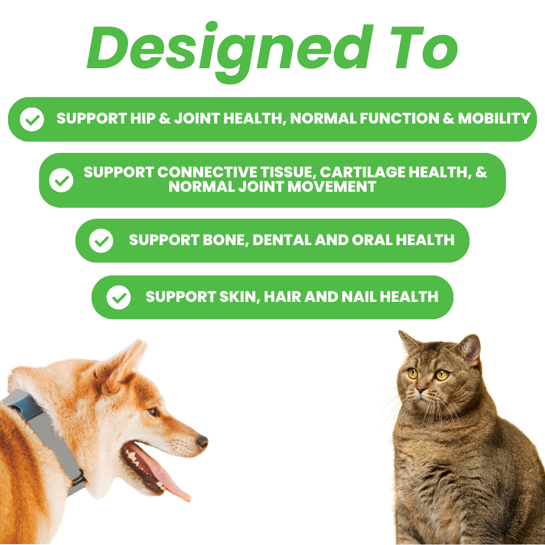 Articulations et récupération 