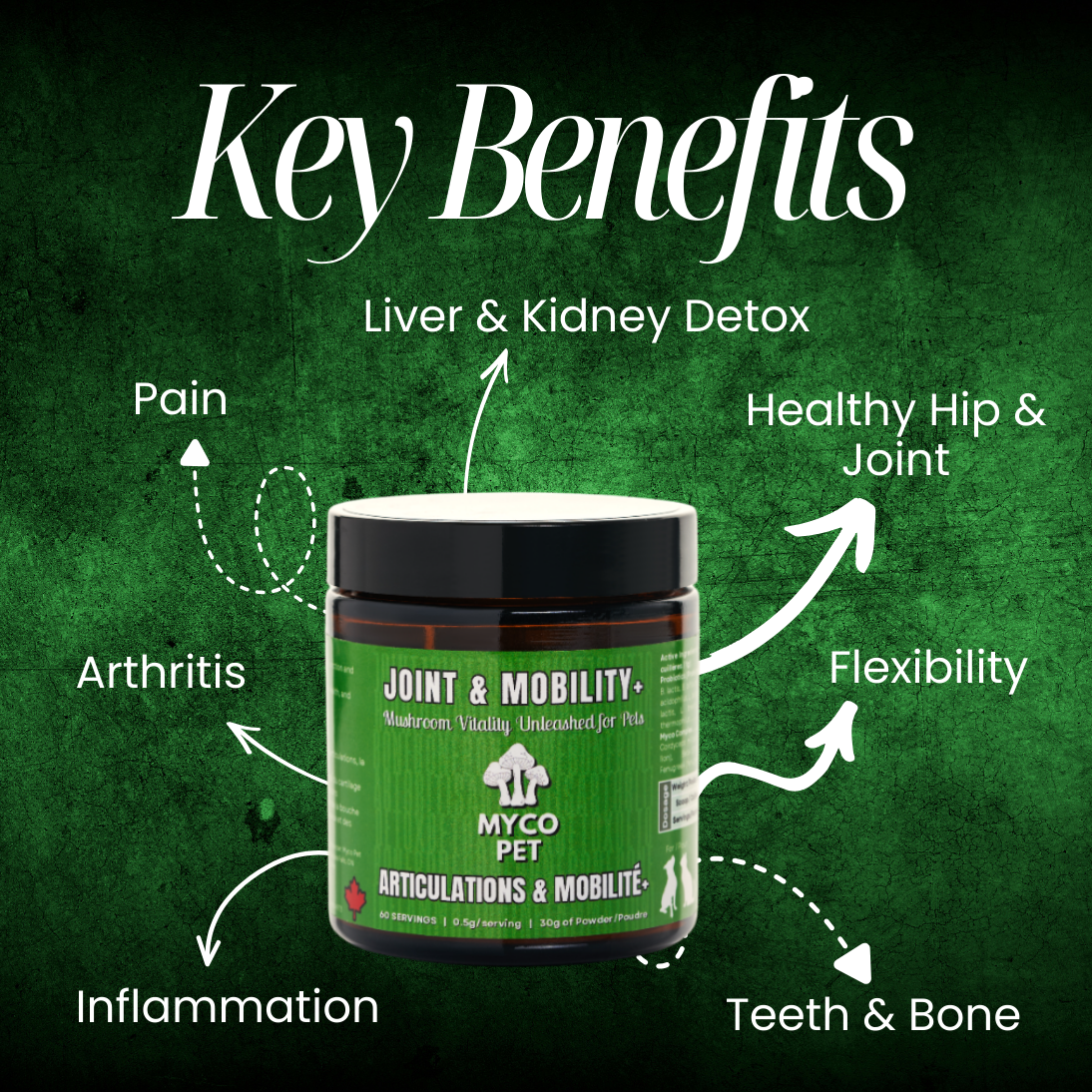 Articulations et récupération 