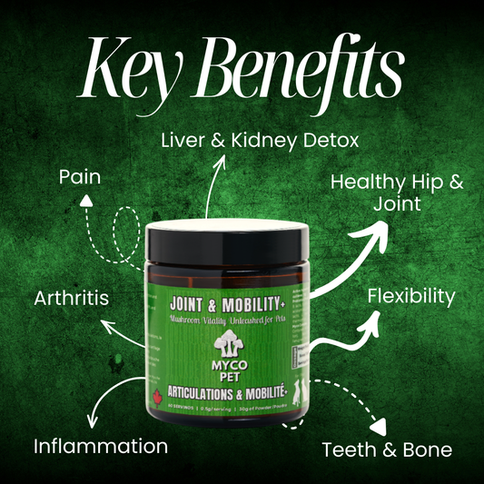 Articulations et récupération 