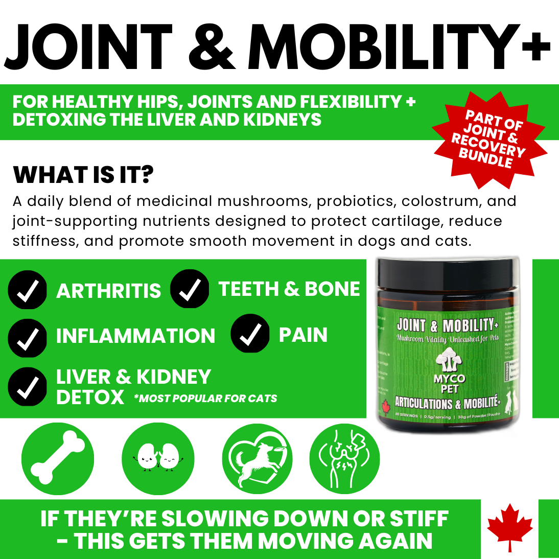 Articulations et récupération 