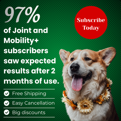 Articulations et récupération 