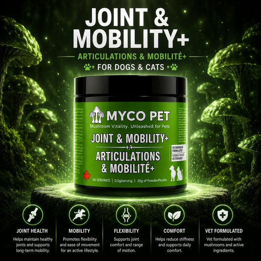 Joint & Mobility+
