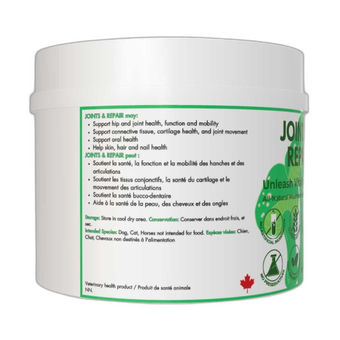 Myco Canine dog supplements hip and knee joints injury and surgery recovery rehab allergies immunity immune skin rash gut health probiotics mushrooms chaga turkey tail cordyceps reishi lion's mane health