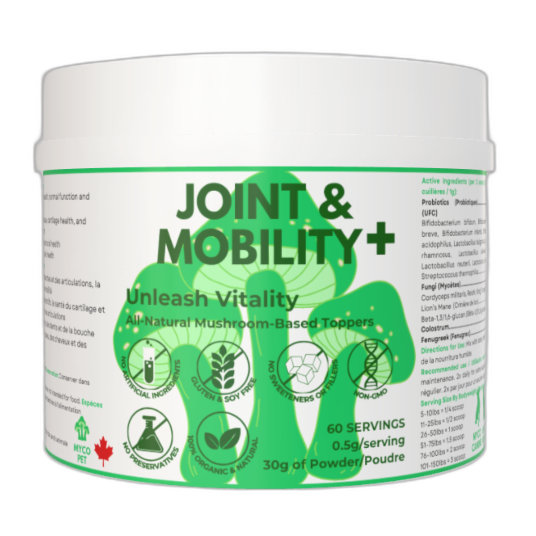 Myco Canine dog supplements hip and knee joints injury and surgery recovery rehab allergies immunity immune skin rash gut health probiotics mushrooms chaga turkey tail cordyceps reishi lion's mane health