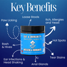 Gut (Allergies) & Immunity +