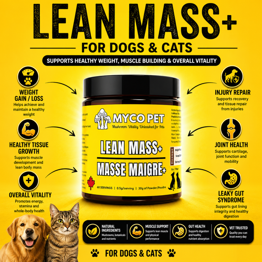 Lean Mass+