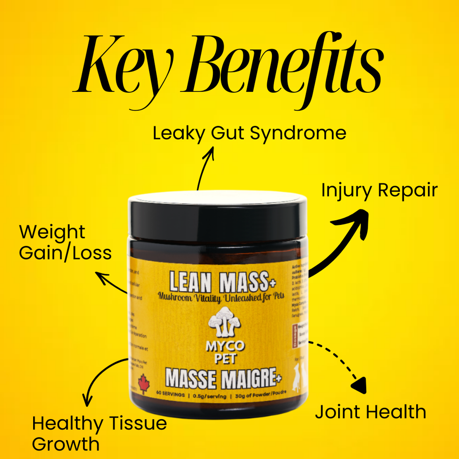 Lean Mass+ Benefits