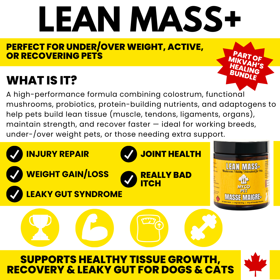 Lean Mass+