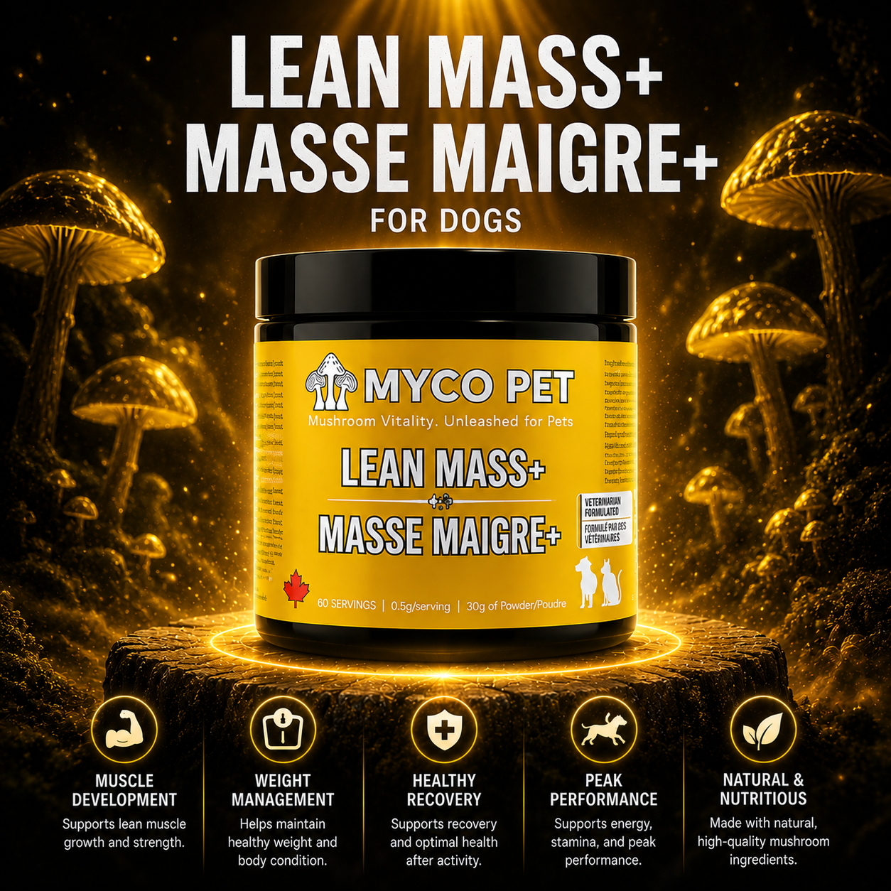 Masa magra 