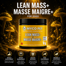 Lean Mass+