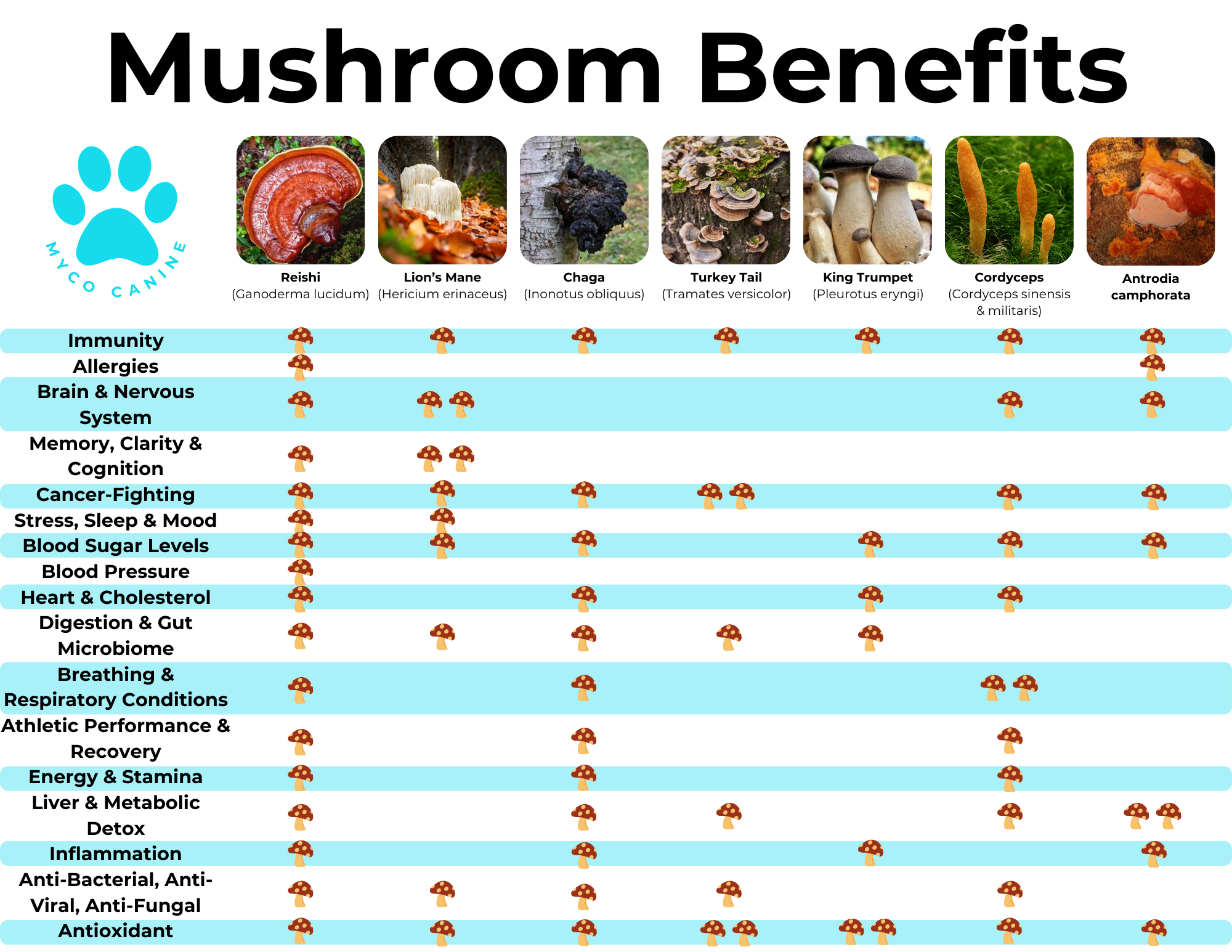 Benefits of different types of mushrooms