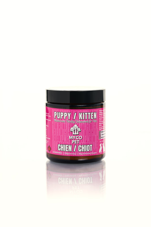 Puppy/Kitten Formula