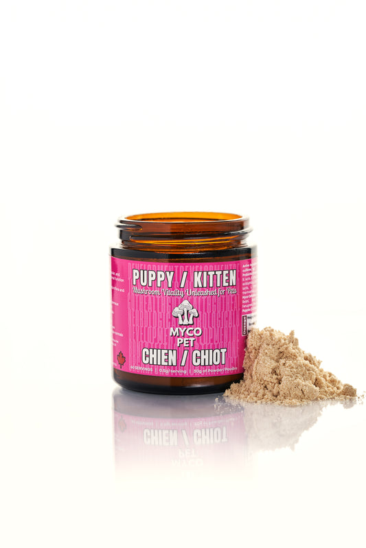 Puppy/Kitten Formula