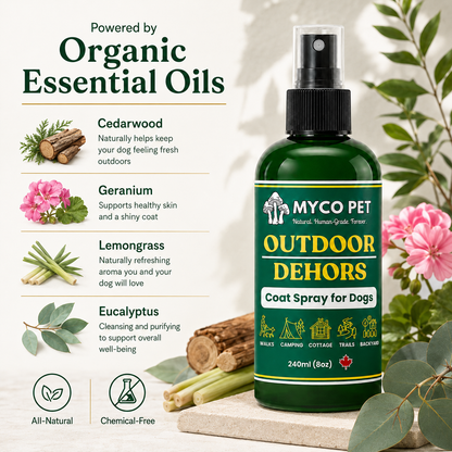 Outdoor - Coat Spray for Dogs