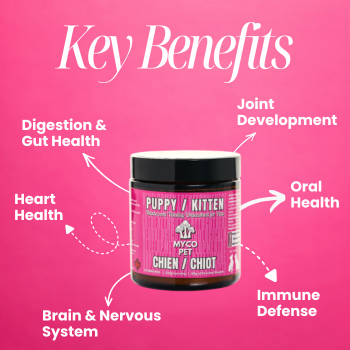 Puppy/Kitten Benefits