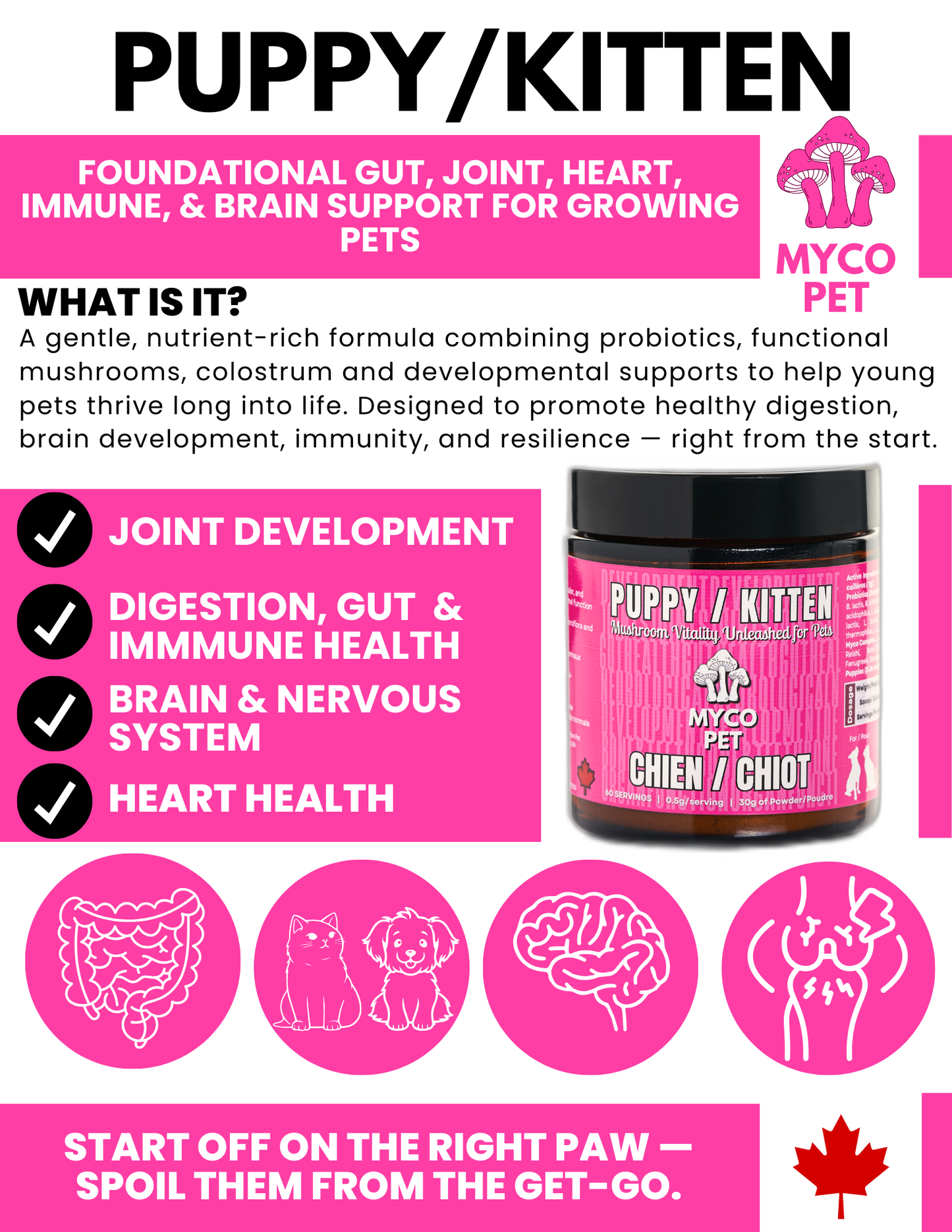 Puppy/Kitten Formula