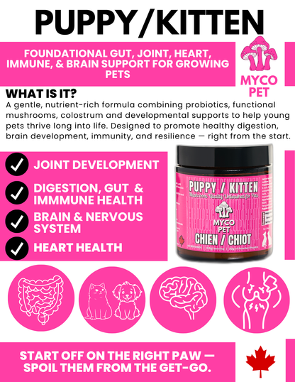 Puppy/Kitten Formula