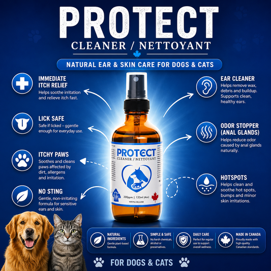 PROTECT Spray
