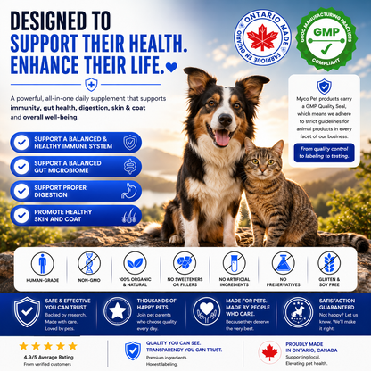 Allergies et immunité 