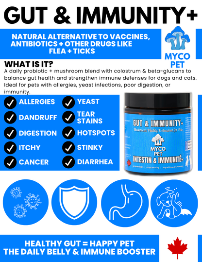 Allergies et immunité 