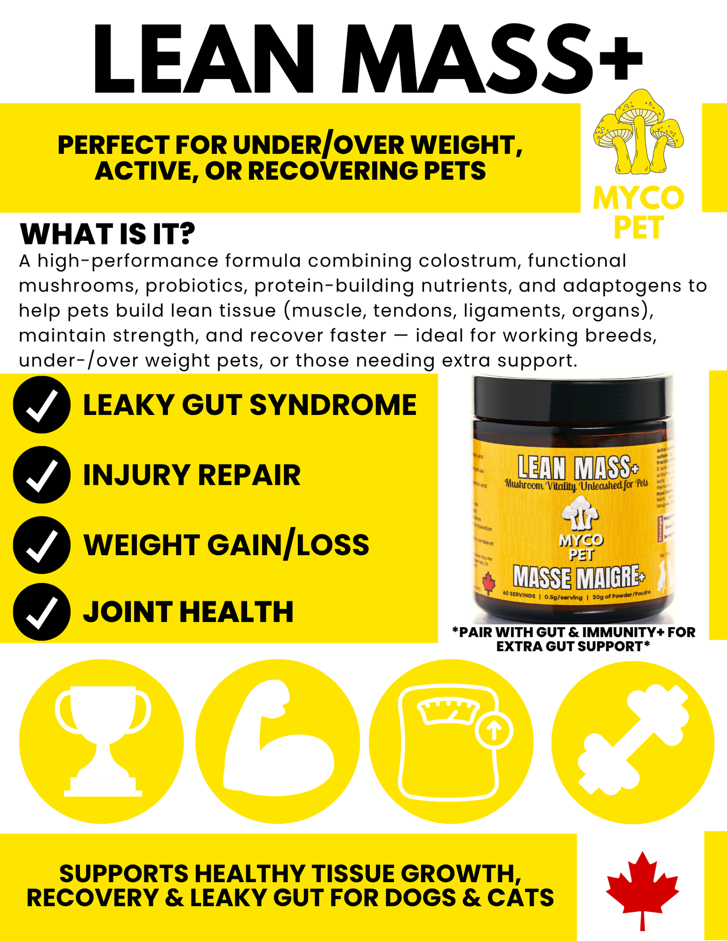 Lean Mass+