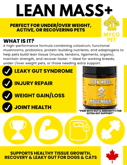 Lean Mass+