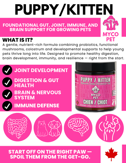 Puppy/Kitten Formula