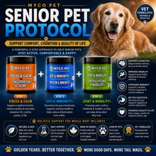 Senior Pet Protocol