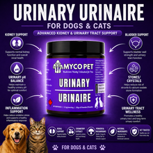 Urinary