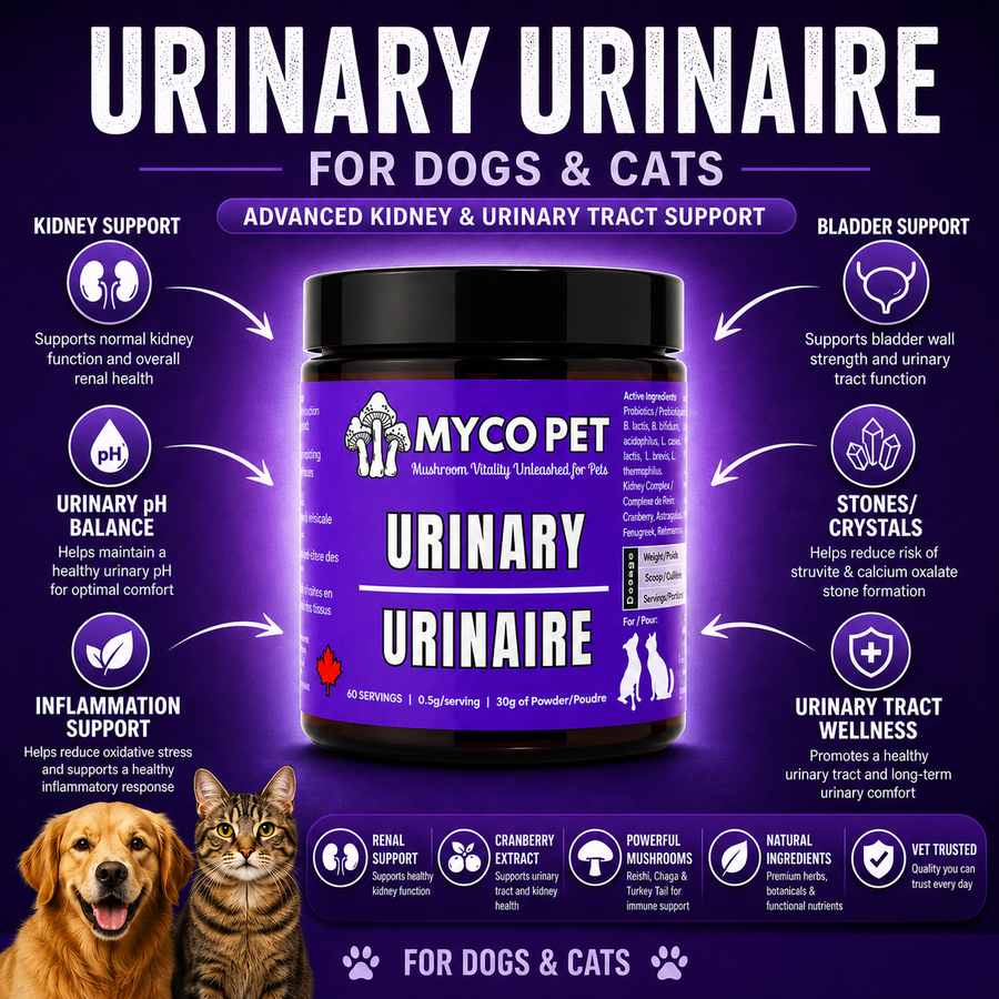 Urinary Benefits