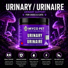 Urinary
