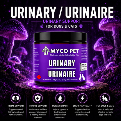 Urinary