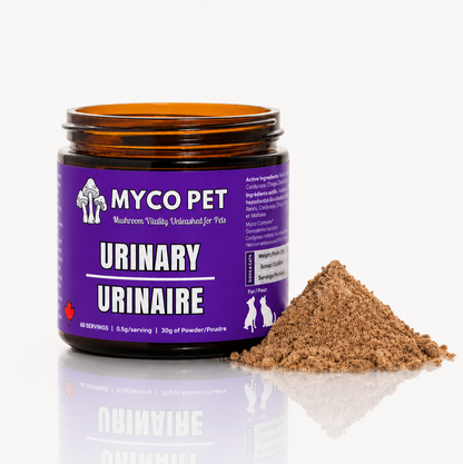Urinary