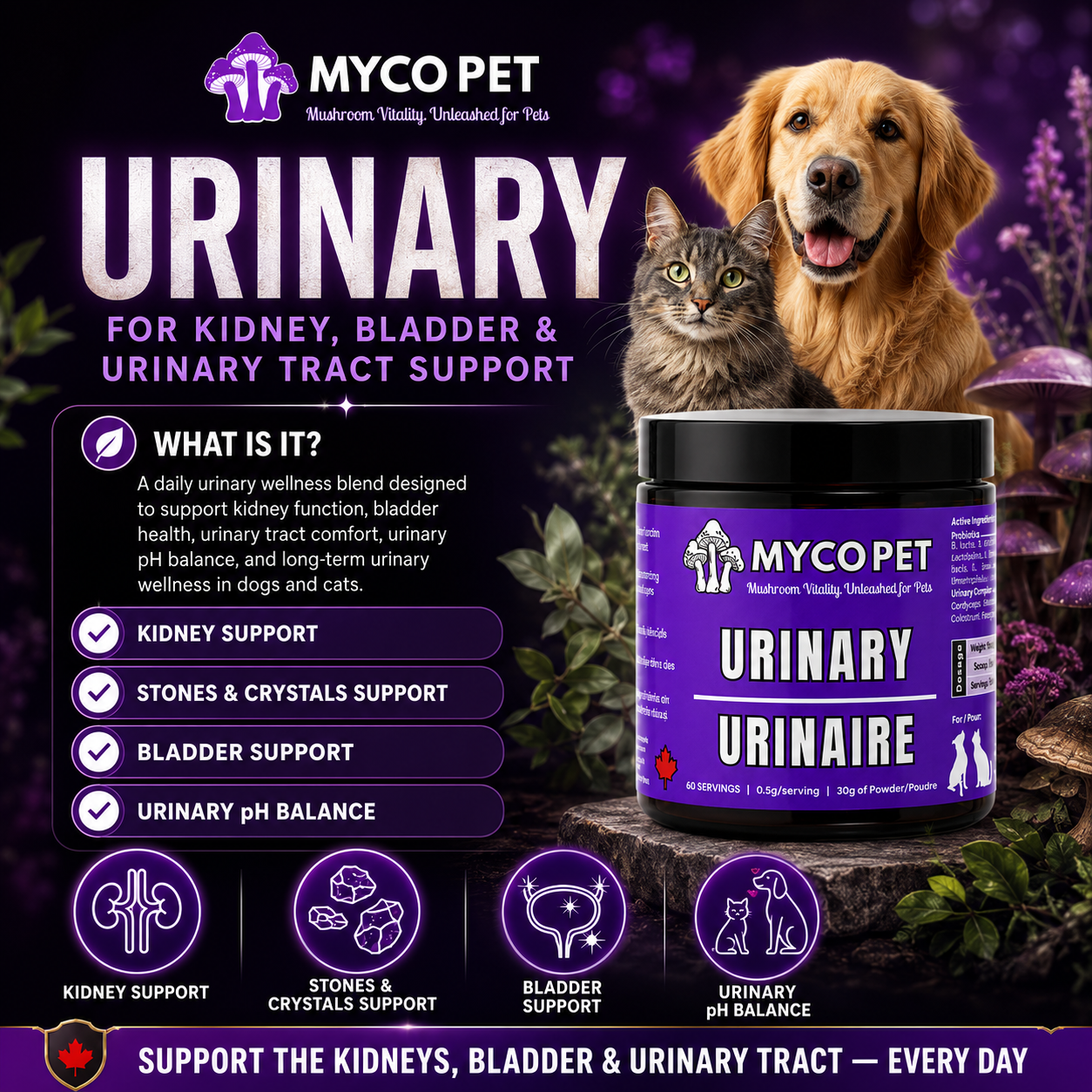 Urinary