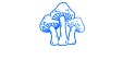 Myco Pet