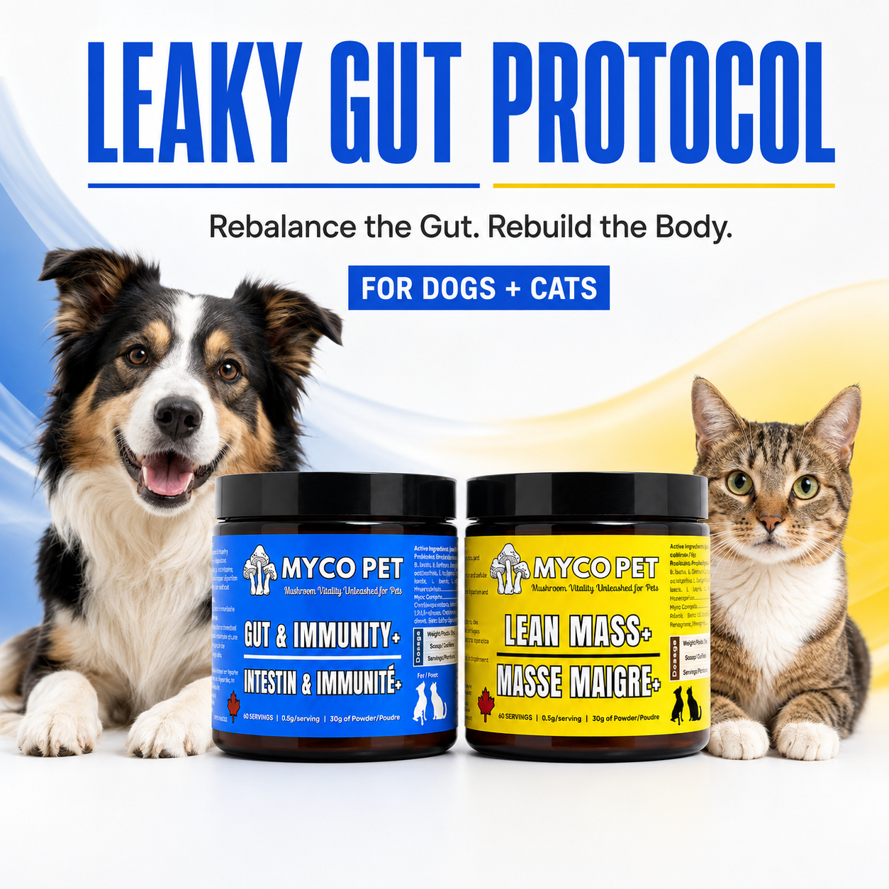 Leaky Gut Protocol for Dogs & Cats